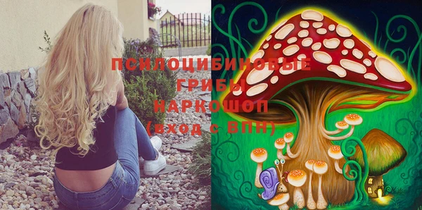 PSILOCYBIN Ладушкин