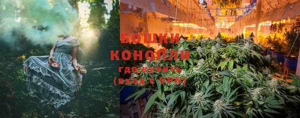 PSILOCYBIN Ладушкин