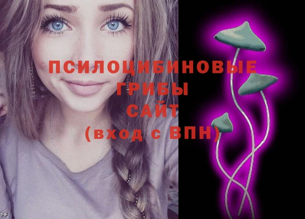 PSILOCYBIN Ладушкин