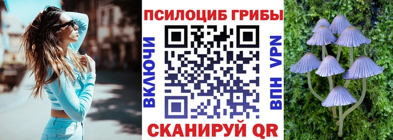 Псилоцибиновые грибы MAGIC MUSHROOMS  Купить закладки  Красноармейск 